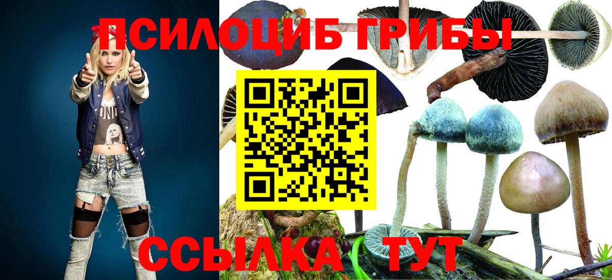 Псилоцибиновые грибы GOLDEN TEACHER Ликино-Дулёво